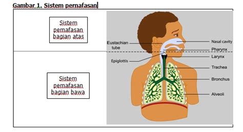 Epidemiologi Penyakit Menular Infeksi Saluran Pernafasan Akut Ispa