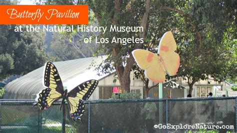 Butterfly Pavilion at the Natural History Museum of Los Angeles ...