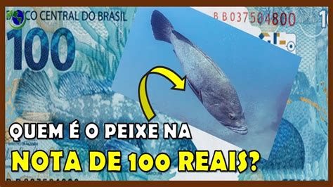 Quais S O Os Animais Das Notas Do Real Brasileiro Descubra Quais