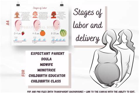 Stages Of Labor And Delivery Poster And Birth Stages Cards Etsy