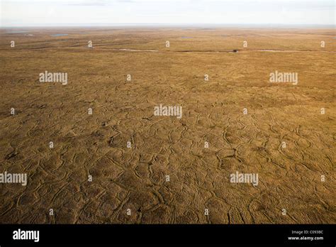 Aerial View Of Patterns In The Tundra Of The Coastal Plain In The