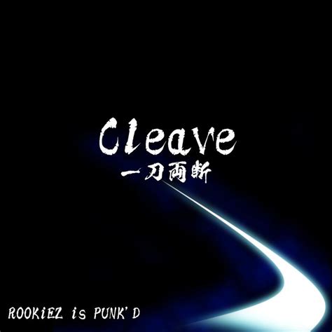 Cleave 一刀両断游戏鬼武者印象曲 ROOKiEZ is PUNK D 单曲 网易云音乐