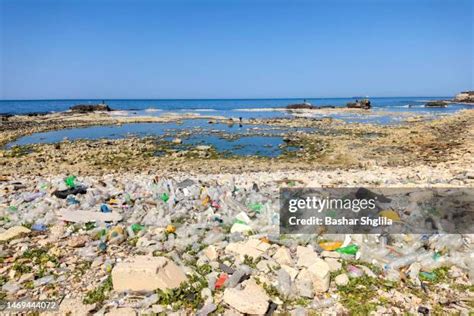 Sea Pollution Photos and Premium High Res Pictures - Getty Images