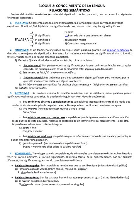 Polisemia Homonimia Sinonimia Y Antonimia Bloque 2 Conocimiento De La Lengua Relaciones