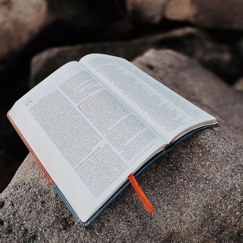 Bible Book Read Free Photo On Pixabay Pixabay