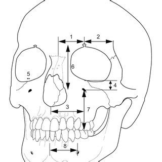 Frequency of the location of mental foramen in relation to lower teeth ...