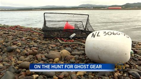 Ghost fishing gear causing major concerns underwater – NTV