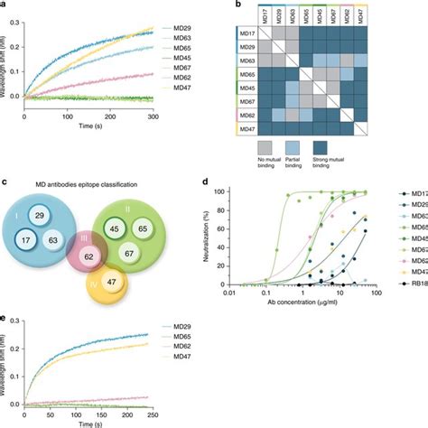 Epitope Binning And Sars Cov Neutralization A Biolayer Interferometry