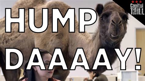 Hump Day Camel Commercial, Geico Hump Day Commercial YOUTUBE Remix - NAYAG Spot