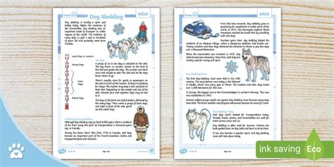 Dog Sledding Information Sheet Husky Twinkl Pets