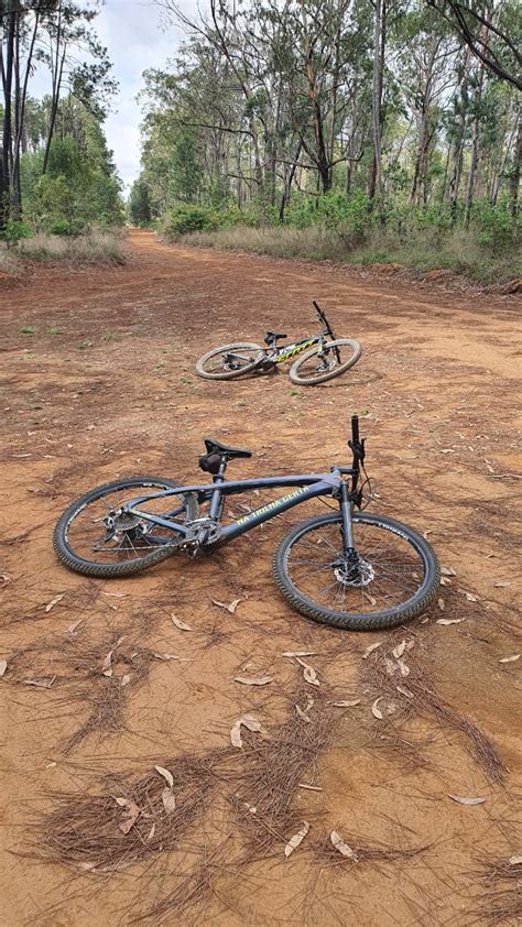 FLONA BRASÍLIA FLORESTA NACIONAL INCLUSIVA PORTAL FEDERAL