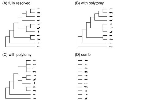 Chapter 2 Phylogenies Phylogenetic Biology