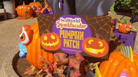 7 Tips for Visiting SeaWorld Spooktacular in Orlando, FL | Green ...