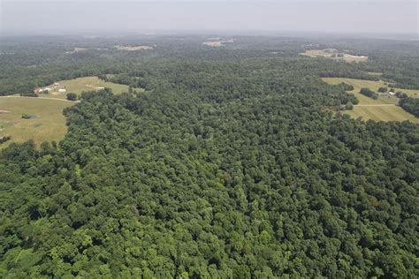 Legal experts are analyzing harrison county judicial records for patterns 6