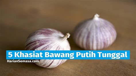 Khasiat Bawang Putih Dalam Perubatan Islam Rasulullah Ungkap Manfaat