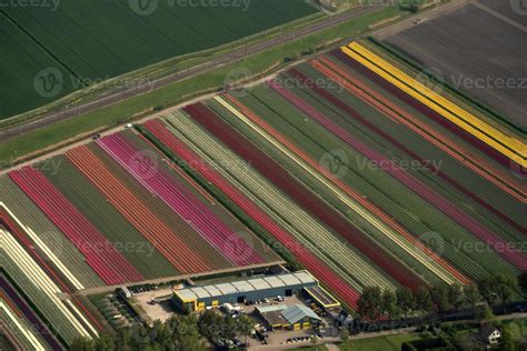 tulip fields holland aerial view from airplane 18741844 Stock Photo at ...