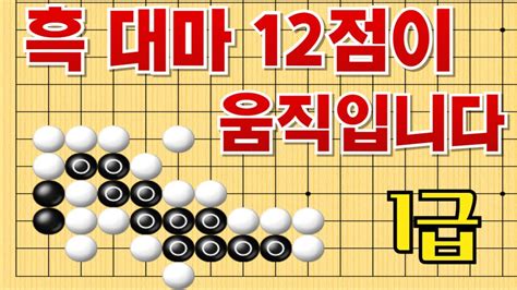 사활 바둑 묘수 3수 밖에 안되는 흑 12점이 움직인다면 기적의 수가 있습니다 1급 사활 바둑 사활 바둑강좌