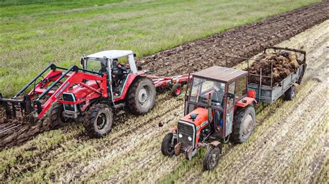 Wy Cig Na Polu Orka Obornik Po Ycie Xmassey Ferguson W Akcji