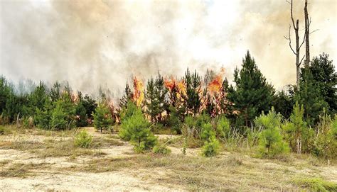 Greene County Firefighters Contain 28 Acre Brush Fire Lake Oconee News