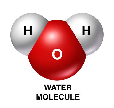 Water structure & properties Diagram | Quizlet