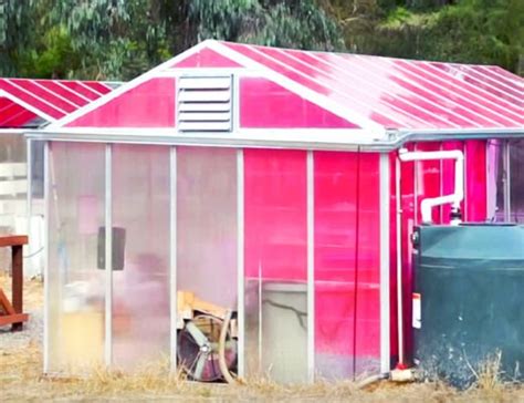 These Magenta Greenhouses Grow Plants Faster While Generating Clean Energy