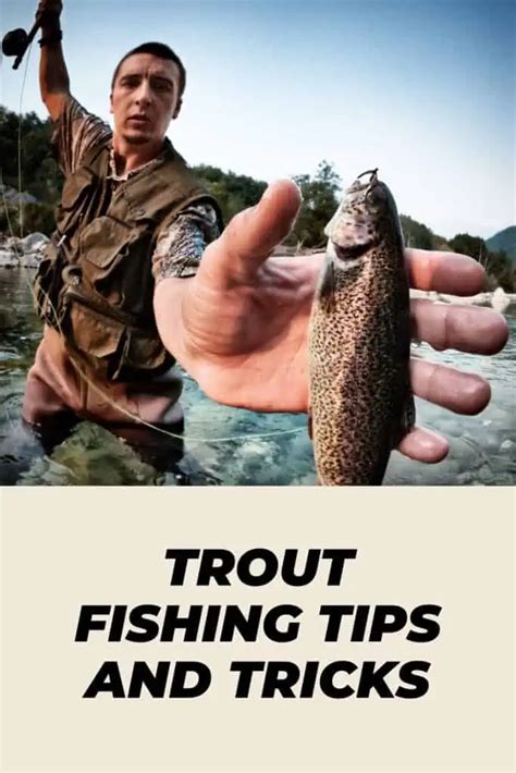 Master Trout Fishing Tips And Tricks For A Successful Catch Southern