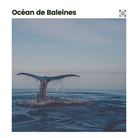 Océan de Baleines Album by Vagues Dans La Mer Spotify