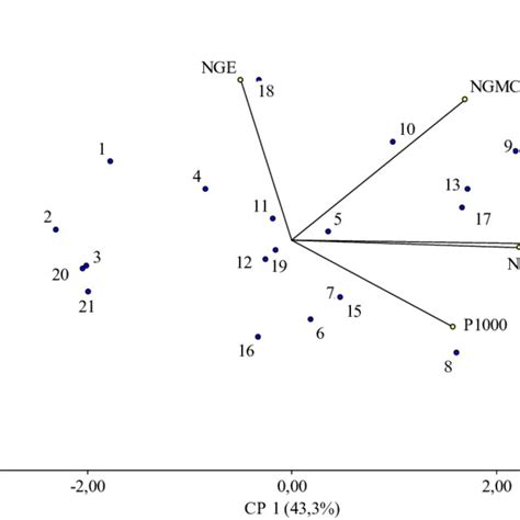 Biplot Conformado Por Las Dos Primeras Componentes Principales Cp1 Y Download Scientific