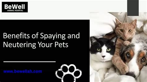 Ppt Benefits Of Spaying And Neutering Your Pets Powerpoint