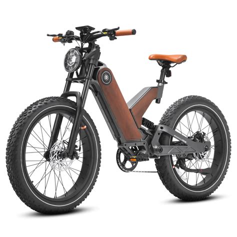 Eahora P5 750w 48v 20ah Mountain Electric Bike