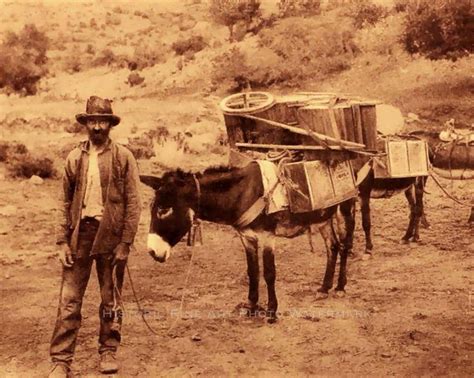 Tombstone Prospector Vintage Photo Arizona Mule Silver Ore Old West