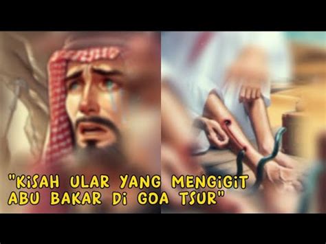 Kisah Abu Bakar Ular Yang Menggigit Nya Di Goa Tsur YouTube