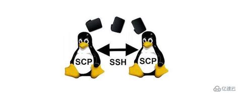 linux之间安全传输文件 使用Linux中SCP命令安全地传输文件的方法 CSDN博客