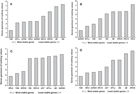 Stability Rankings Of Candidate Reference Genes Calculated By