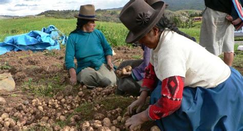 “la Meta Es Lograr Un Crecimiento Superior A 41 Del Sector