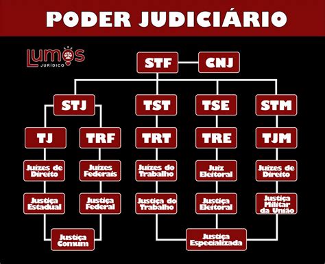 Conhe A Os Rg Os Do Poder Judici Rio Por Brenda Licia