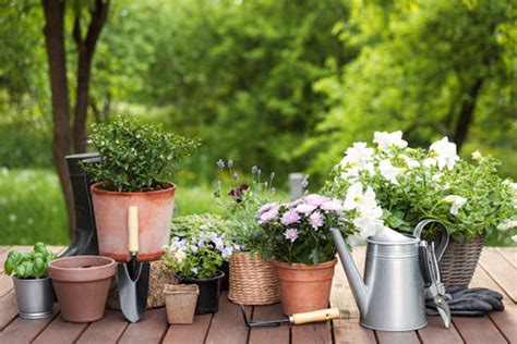 Claves Para Elegir Las Mejores Macetas Para Tus Plantas