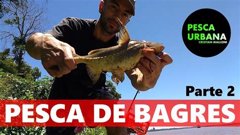 PESCA Y COCINA Pescando Bagres PESCA URBANA Street Fishing YouTube