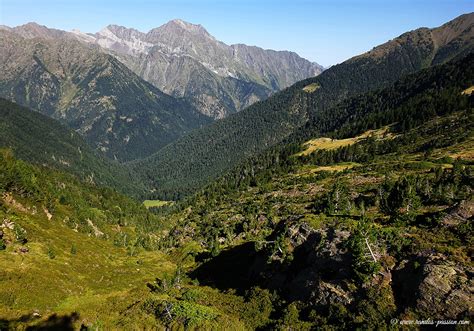 La cabane de Niscoude Vallée du Rioumajou