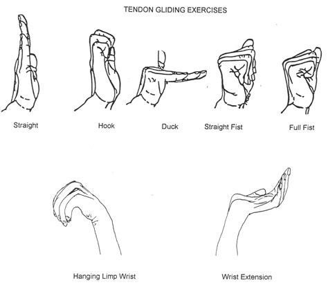 Image result for Ulnar Nerve Glide Hand Out | Hand therapy exercises ...