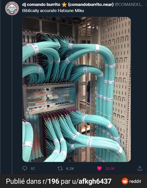 A Bunch Of Blue Wires That Are In A Rack