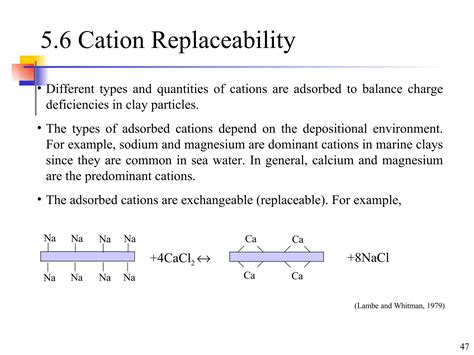 Clay Minerals And Soil Structure PPT