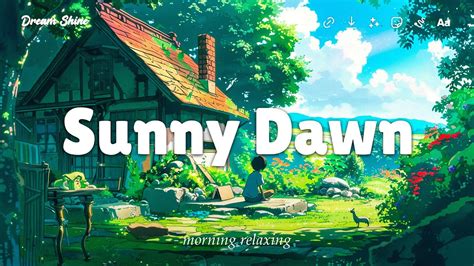 Sunny Dawn Lofi Keep You Safe Start Your Day For Study Work With