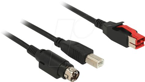 Delock Poweredusb Kabel Stecker V Usb B Mini Din Pin