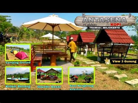 Cafe Antasena Kopi Cafe Hits Di Trawas Mojokerto Best View Gunung