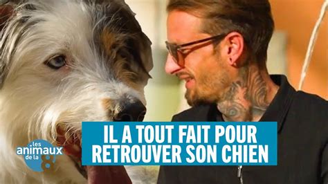 Anthony A TOUT Fait Pour Retrouver Son Chien Milky YouTube