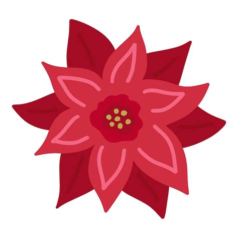 Poinsettia Estrella De Navidad Flor Roja Mano Simple Dibujar Garabato