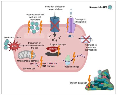 Nanotechnology In Combating Multi-Drug Resistant Bacteria at Ellen