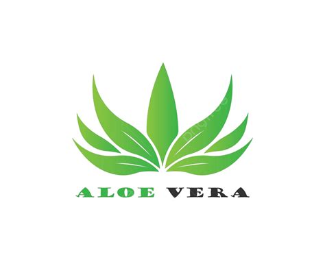 Aloe Vera Logo Vector Fresh Plant Medical Vector Fresh Plant Medical