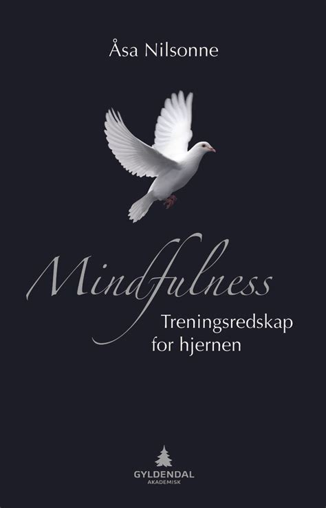 Mindfulness Treningsredskap For Hjernen Sa Nilsonne Allvit